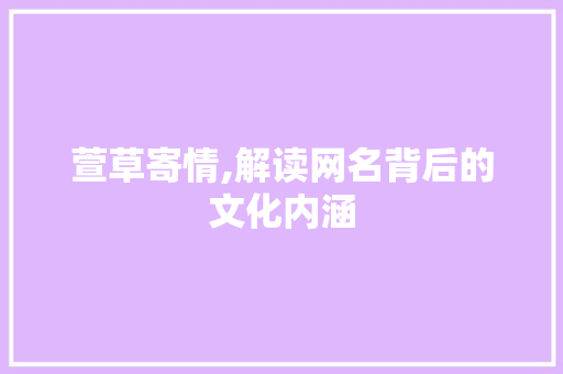 萱草寄情,解读网名背后的文化内涵 报告写作