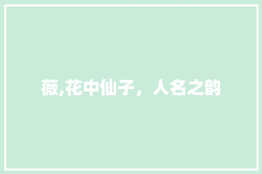 薇,花中仙子，人名之韵