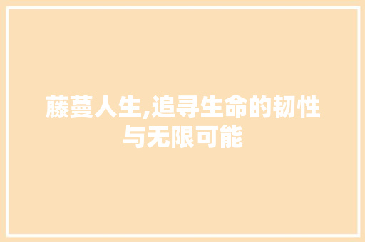 藤蔓人生,追寻生命的韧性与无限可能 写作技巧