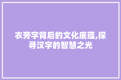 衣旁字背后的文化底蕴,探寻汉字的智慧之光