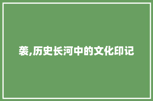 袭,历史长河中的文化印记