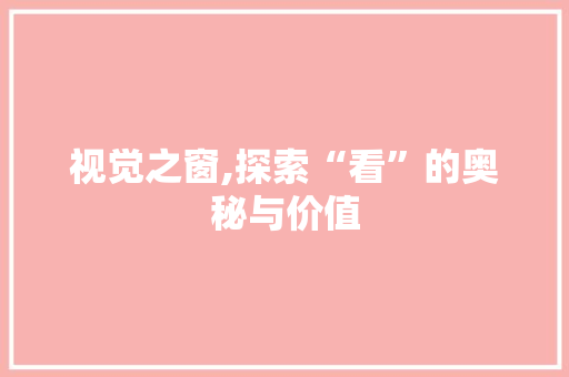视觉之窗,探索“看”的奥秘与价值 诗歌创作