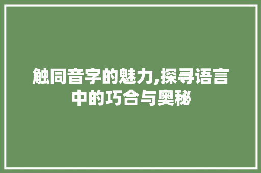 触同音字的魅力,探寻语言中的巧合与奥秘