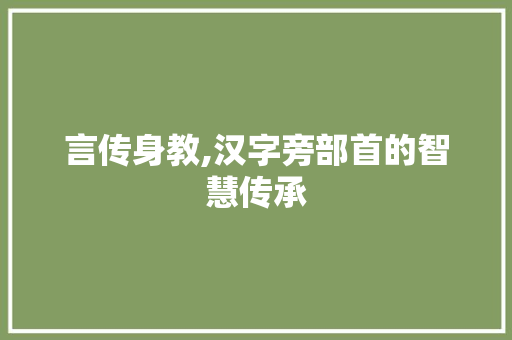 言传身教,汉字旁部首的智慧传承 写作社区