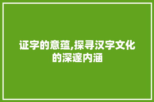 证字的意蕴,探寻汉字文化的深邃内涵