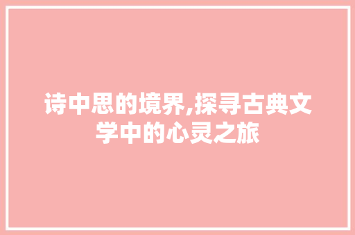 诗中思的境界,探寻古典文学中的心灵之旅 词汇积累