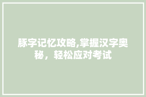 豚字记忆攻略,掌握汉字奥秘，轻松应对考试