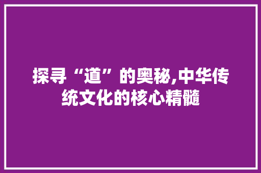 探寻“道”的奥秘,中华传统文化的核心精髓
