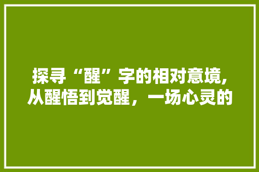 探寻“醒”字的相对意境,从醒悟到觉醒，一场心灵的蜕变之旅 写作素材