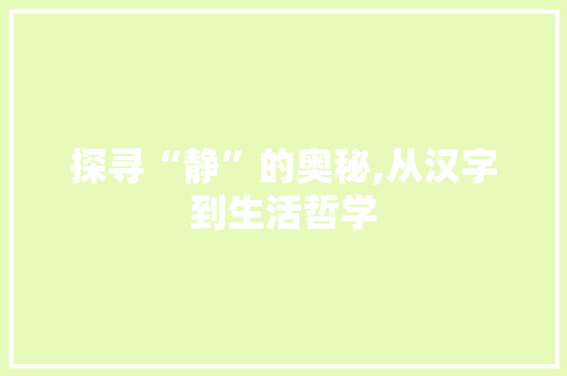 探寻“静”的奥秘,从汉字到生活哲学