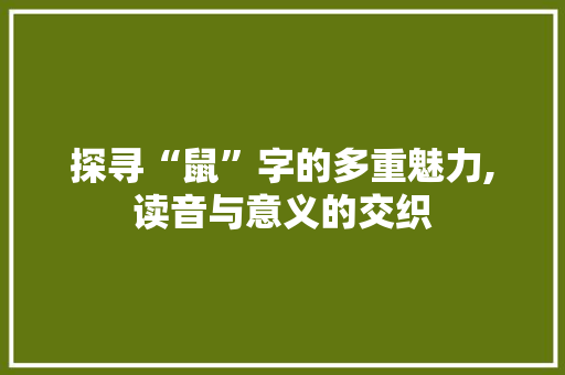 探寻“鼠”字的多重魅力,读音与意义的交织