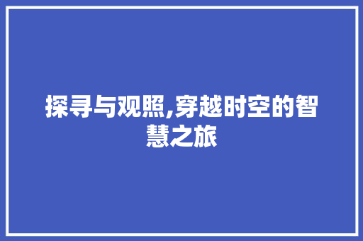 探寻与观照,穿越时空的智慧之旅
