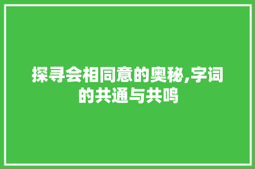 探寻会相同意的奥秘,字词的共通与共鸣