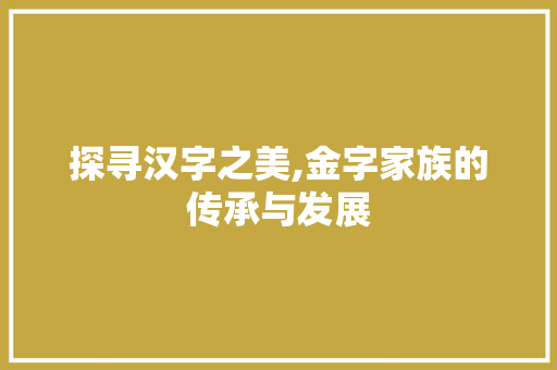 探寻汉字之美,金字家族的传承与发展