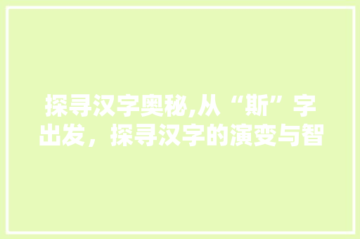 探寻汉字奥秘,从“斯”字出发，探寻汉字的演变与智慧