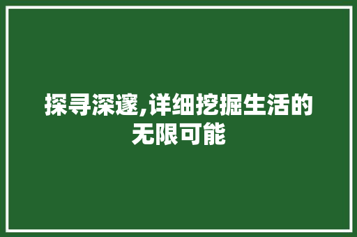 探寻深邃,详细挖掘生活的无限可能