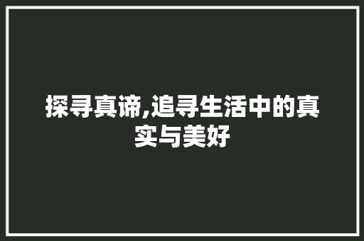 探寻真谛,追寻生活中的真实与美好