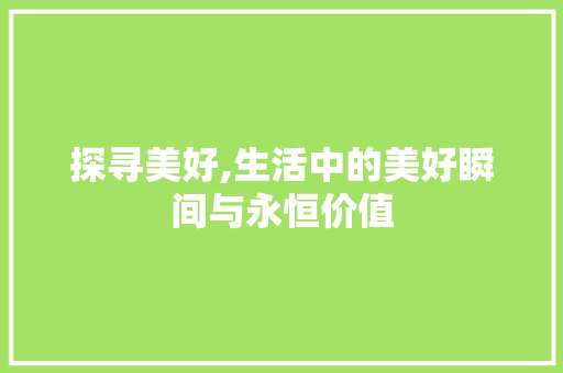 探寻美好,生活中的美好瞬间与永恒价值