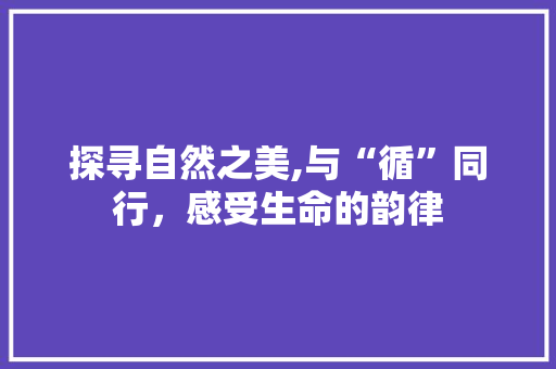 探寻自然之美,与“循”同行，感受生命的韵律