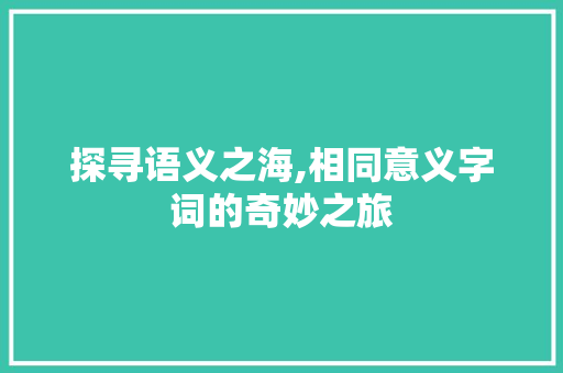 探寻语义之海,相同意义字词的奇妙之旅