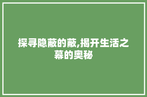 探寻隐蔽的蔽,揭开生活之幕的奥秘