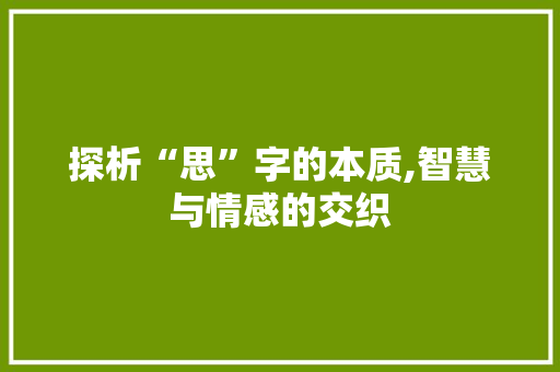 探析“思”字的本质,智慧与情感的交织