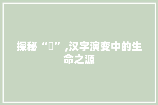 探秘“児”,汉字演变中的生命之源