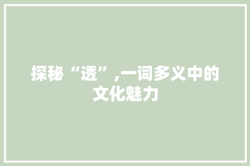 探秘“透”,一词多义中的文化魅力