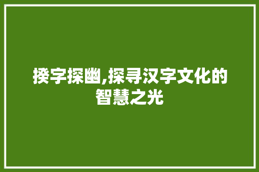 揆字探幽,探寻汉字文化的智慧之光