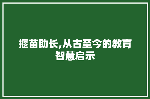 揠苗助长,从古至今的教育智慧启示