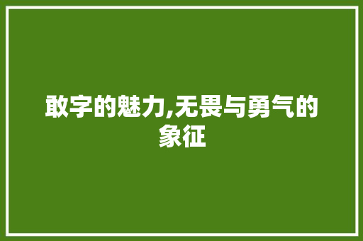 敢字的魅力,无畏与勇气的象征