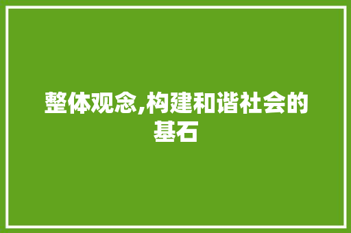 整体观念,构建和谐社会的基石
