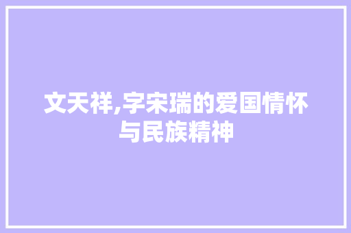 文天祥,字宋瑞的爱国情怀与民族精神