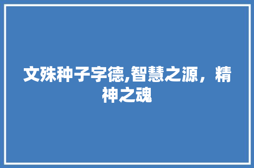 文殊种子字德,智慧之源，精神之魂 写作素材