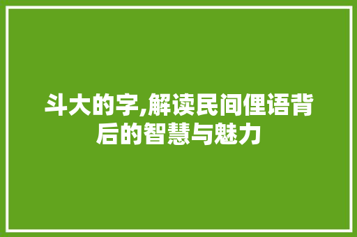 斗大的字,解读民间俚语背后的智慧与魅力