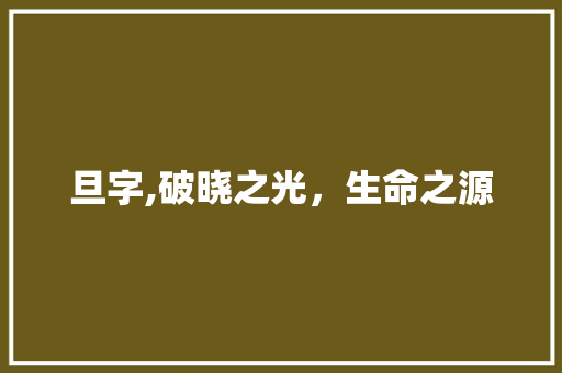 旦字,破晓之光，生命之源