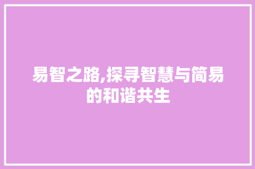 易智之路,探寻智慧与简易的和谐共生