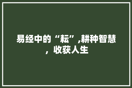 易经中的“耘”,耕种智慧，收获人生