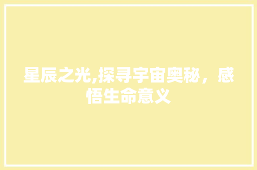 星辰之光,探寻宇宙奥秘，感悟生命意义