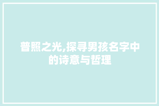 普照之光,探寻男孩名字中的诗意与哲理