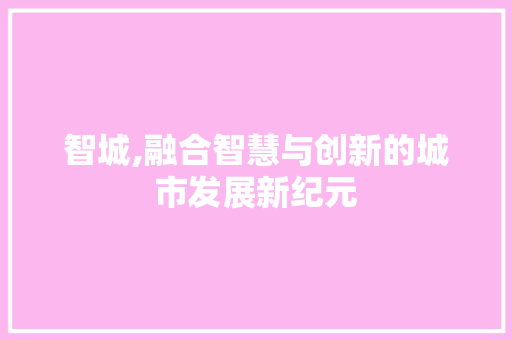 智城,融合智慧与创新的城市发展新纪元