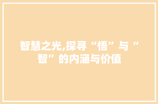 智慧之光,探寻“悟”与“智”的内涵与价值