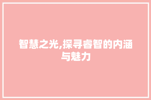 智慧之光,探寻睿智的内涵与魅力