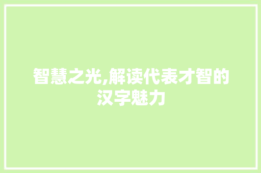 智慧之光,解读代表才智的汉字魅力