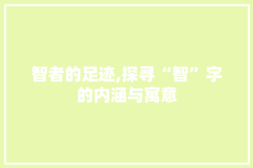 智者的足迹,探寻“智”字的内涵与寓意