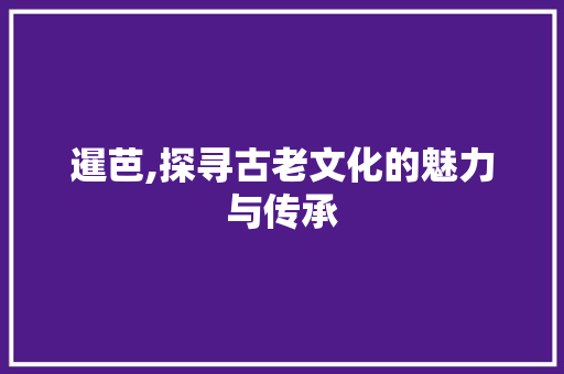 暹芭,探寻古老文化的魅力与传承