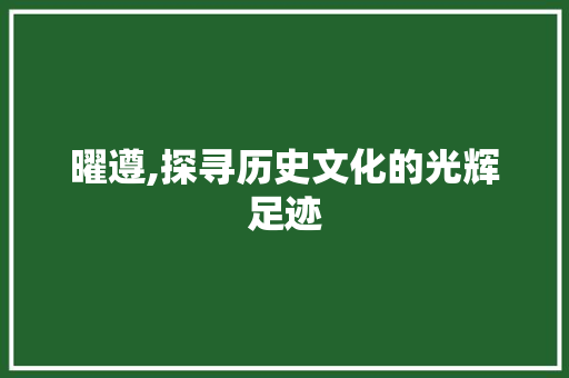 曜遵,探寻历史文化的光辉足迹