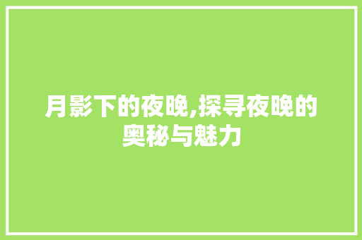 月影下的夜晚,探寻夜晚的奥秘与魅力