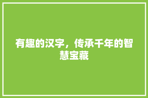 有趣的汉字，传承千年的智慧宝藏