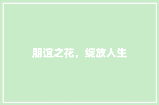 朋谊之花，绽放人生